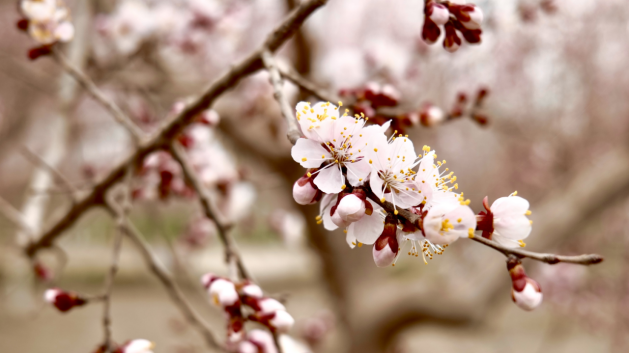 1712891291671371.png image.png