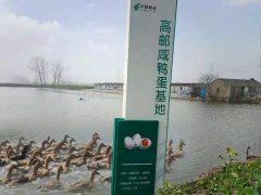 2026年罗氏虾工厂技术哪家强？对比五大罗氏沼虾养殖综合实力