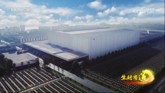 央视财经频道深度探访千禾味业：科技让传承更纯粹